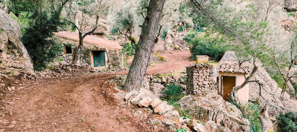 Vista de dos pequeñas construcciones de piedra en un sendero rodeado de vegetación, situado en la ruta hacia el Puig des Moro, cerca del túnel de Sóller.