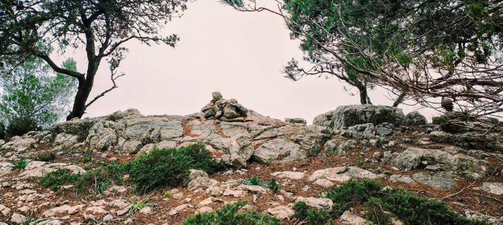 PUIG DES MORO desde el túnel de&nbsp;Sóller