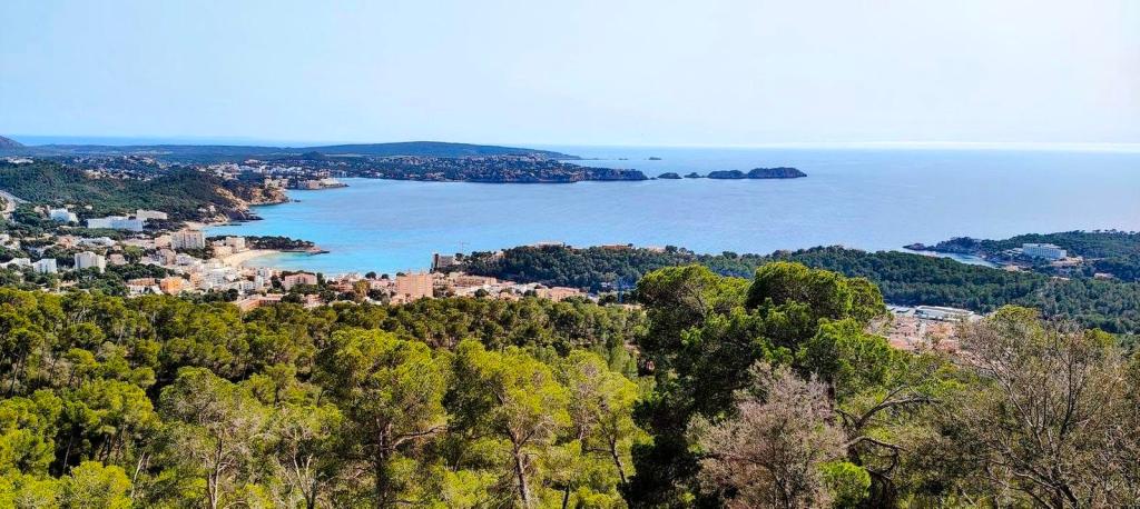 Vista panorámica de la costa de Peguera desde una montaña, con edificios y vegetación en primer plano, y el mar en el fondo.