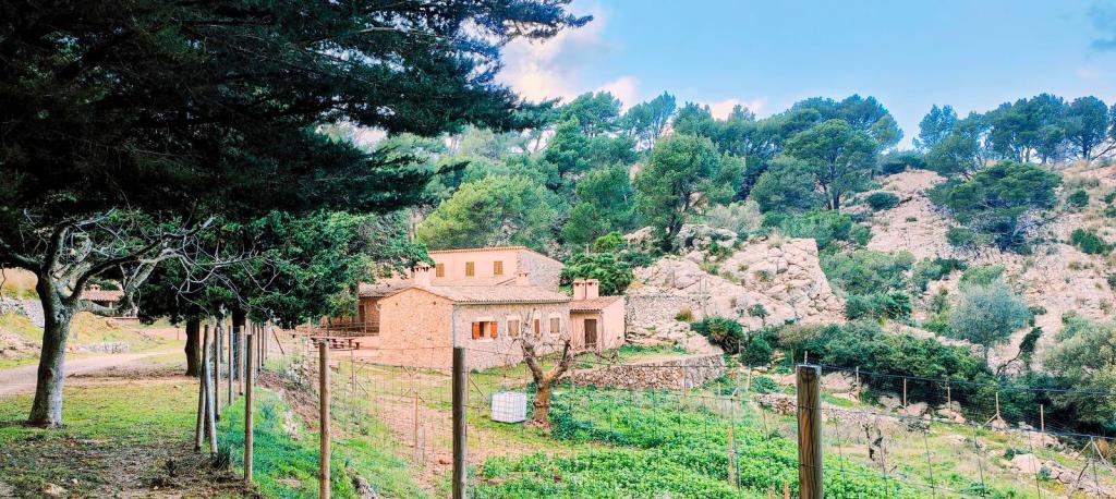 Vista de la casita de campo rodeada de árboles y vegetación en un paisaje montañoso, con una cerca de madera en primer plano.