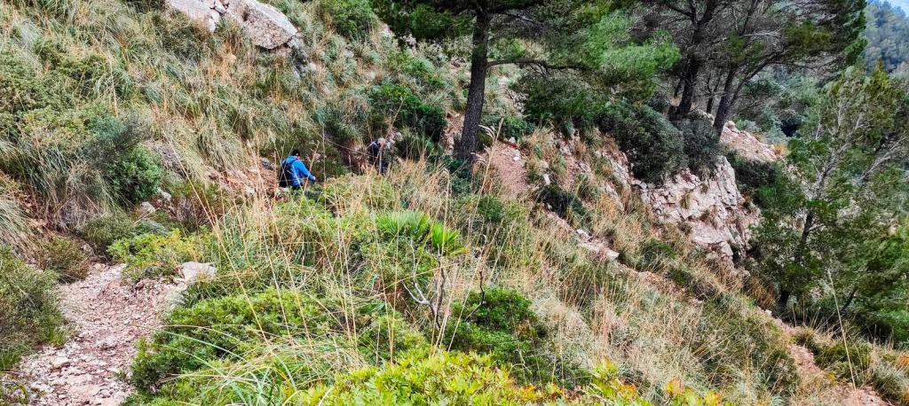 Sendero montañoso con dos excursionistas en una zona boscosa con vegetación densa y rocas al fondo.