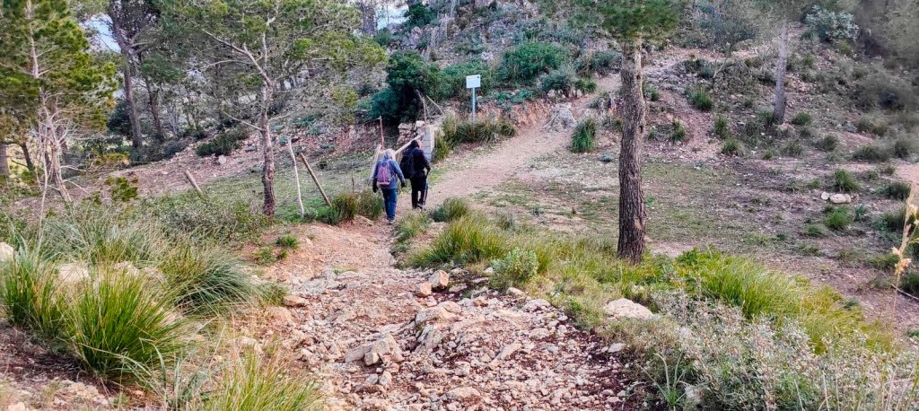Dos personas caminando por un sendero en una zona boscosa con vegetación densa y terreno rocoso.