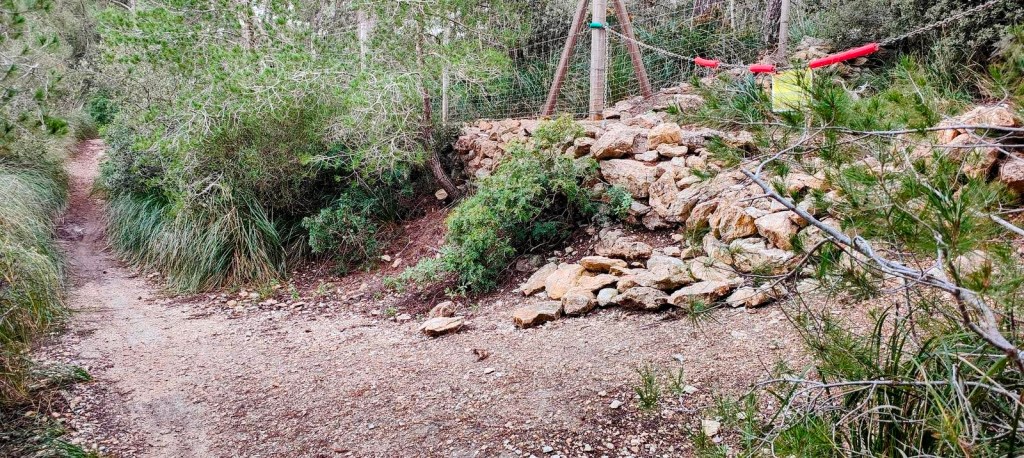 Sendero forestal en la ruta hacia el Castell de Santueri, con un camino de tierra y piedras rodeado de vegetación mediterránea.