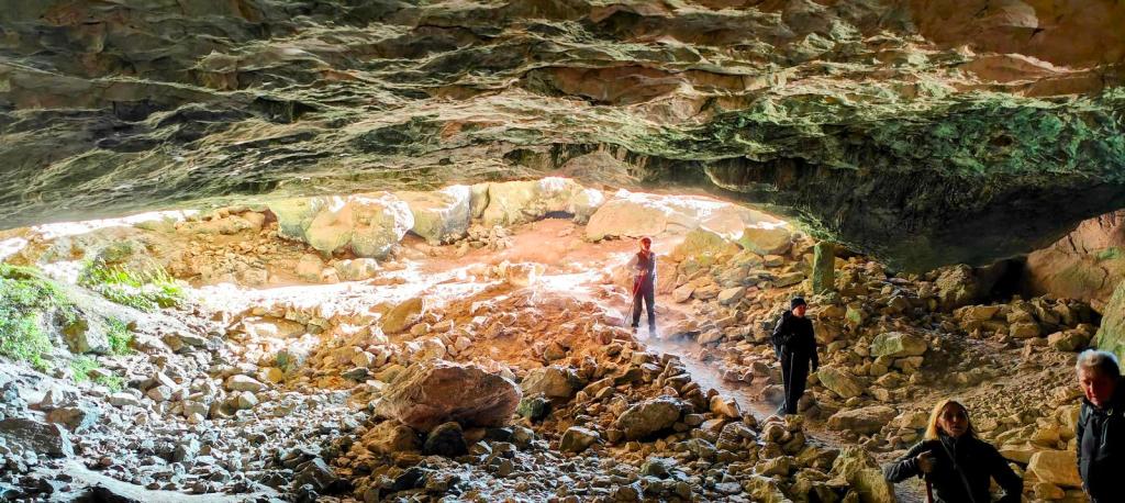 Interior de la Cova dels Bous, mostrando un espacio rocoso con cinco personas en el fondo explorando la cueva, iluminada por la luz natural que entra.