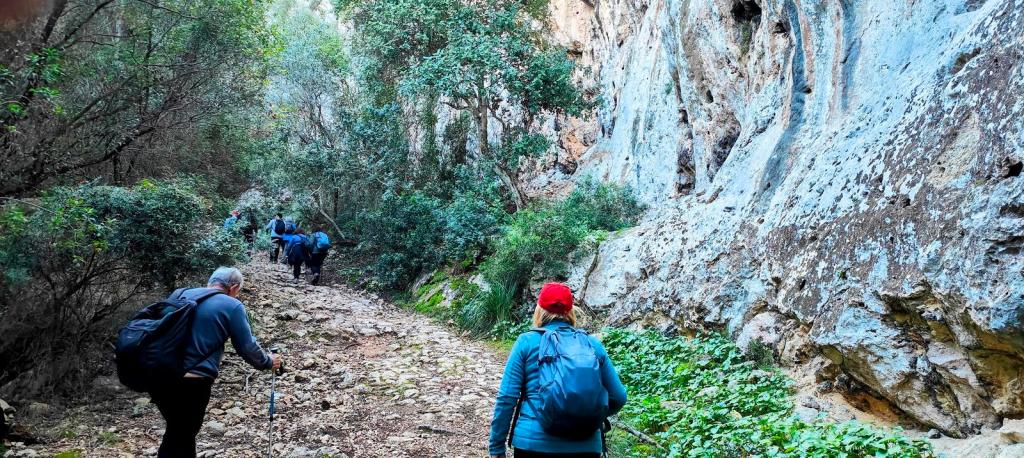 Grupo de personas caminando por un sendero montañoso rodeado de vegetación y rocas en la ruta Serra de Son Marill.
