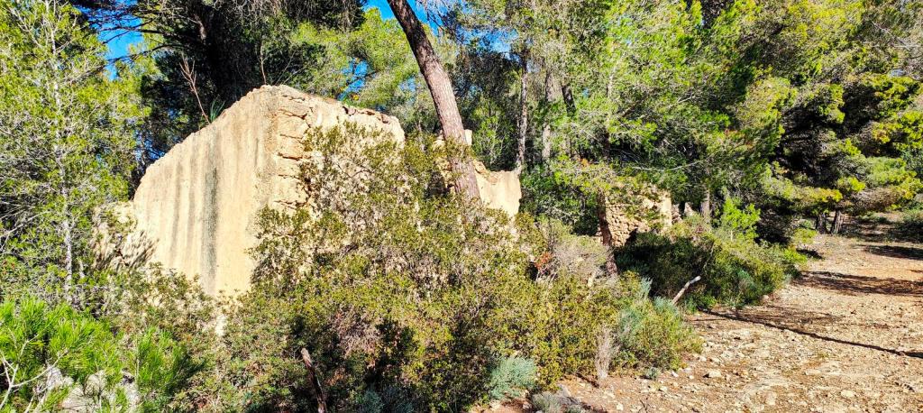 Ruinas de una estructura de piedra cubierta de vegetación en un entorno natural de bosque.