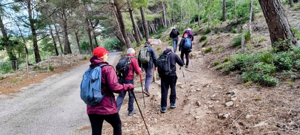 Grupo de personas caminando por un sendero arbolado, algunos llevan mochila y bastones de senderismo.