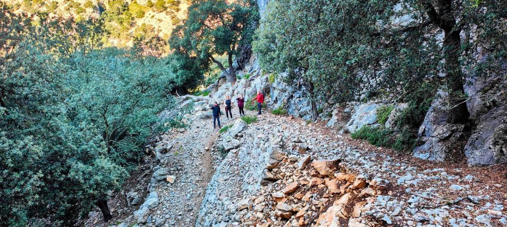 Grupo de personas caminando por un sendero rocoso y pedregoso, rodeado de vegetación y árboles en la ruta La Coma des Cairats, Mallorca.