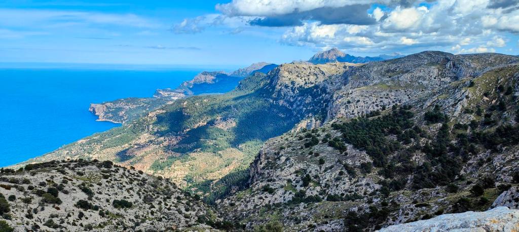 Camí de s’Arxiduc desde Valldemossa - Caminando por Mallorca