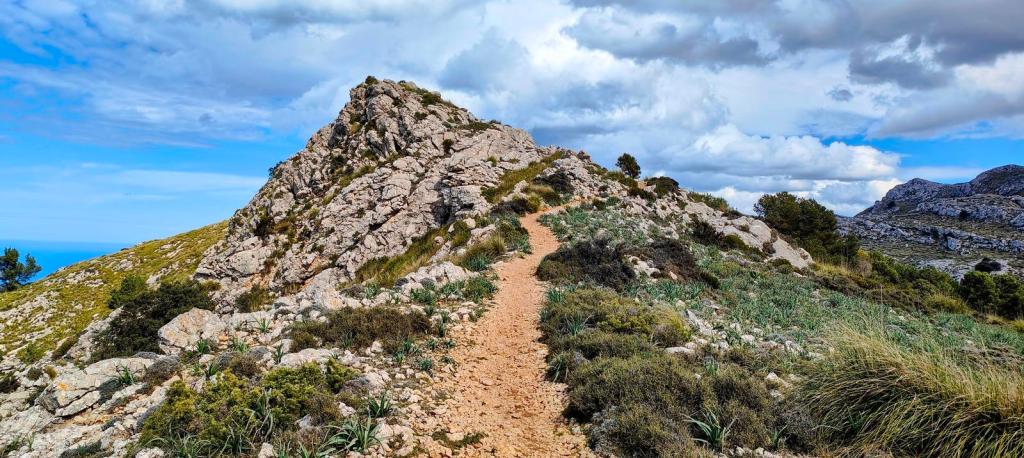 Camí de s’Arxiduc desde Valldemossa - Caminando por Mallorca