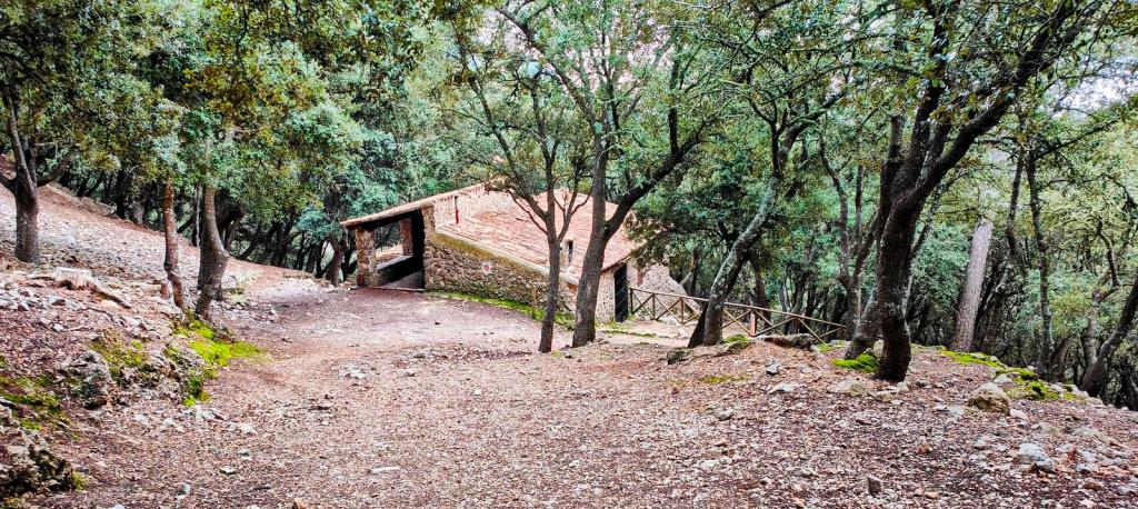 Camí de s’Arxiduc desde Valldemossa - Caminando por Mallorca