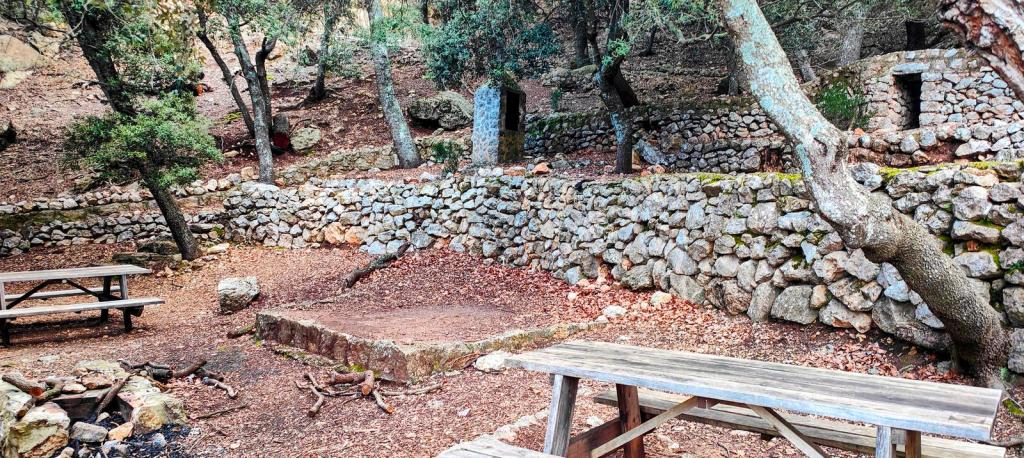 Camí de s’Arxiduc desde Valldemossa - Caminando por Mallorca
