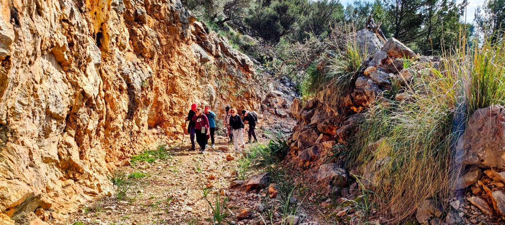 RUINAS DE SA PLANA desde Ermita de Sant Miquel&nbsp;(Campnanet)