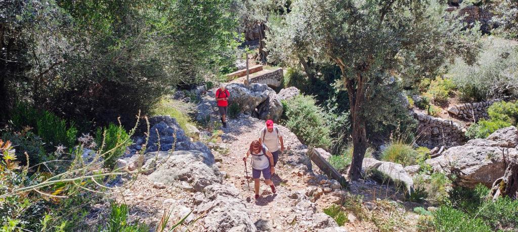 Font d’Es Verger desde Biniaraix - Caminando por Mallorca Grupo de excursionistas ascendiendo por un sendero rocoso rodeado de vegetación en el camino hacia Font d'Es Verger.