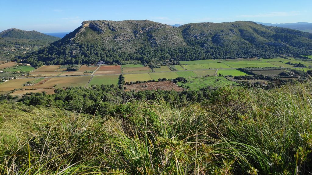 SIERRA DE SON&nbsp;FE