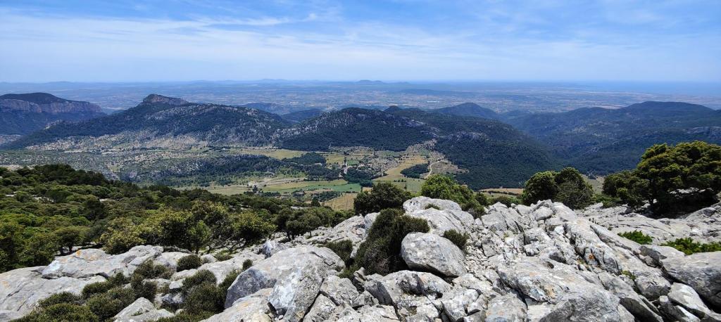 PUIG DES COLL DES JOU desde&nbsp;Cúber