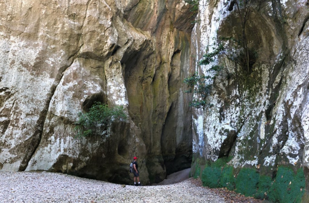 Vista del Torrent de Pareis con altas paredes rocosas y vegetación en el fondo, mientras un caminante se encuentra en la escena.