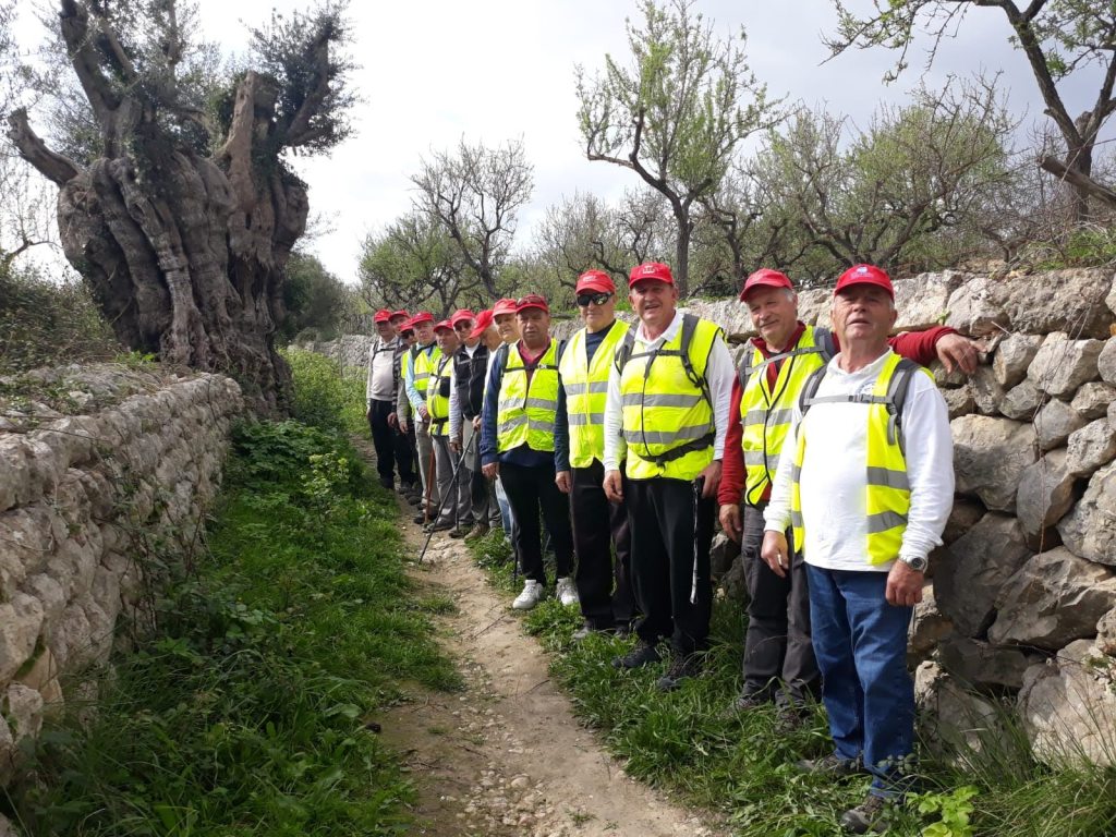 Grupo de senderistas con chalecos reflectantes y gorras rojas en un camino junto a un antiguo olivo y un muro de piedra.