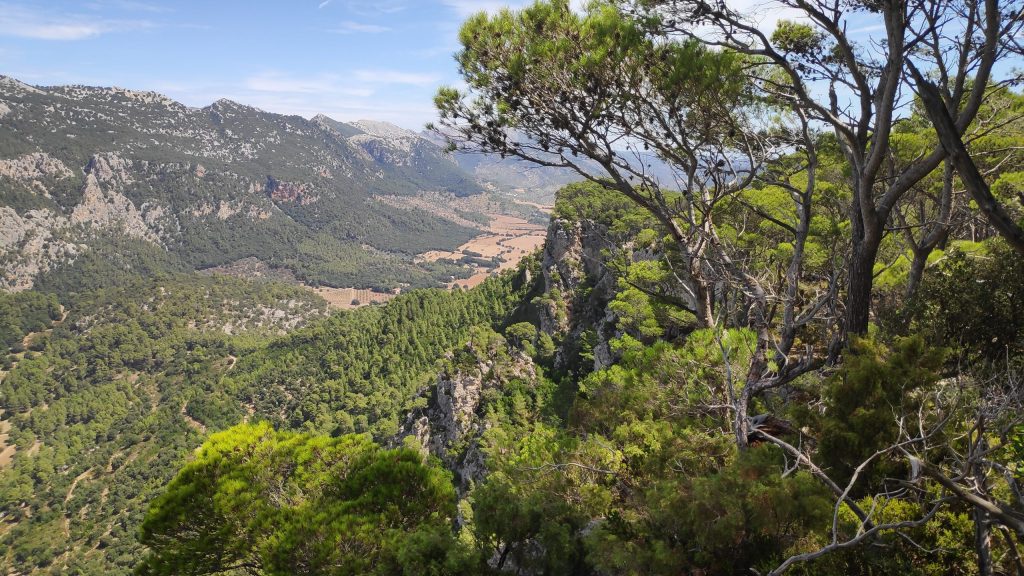 PENYAL D’HONOR- COVA DE S’AIGUA (Comuna de&nbsp;Bunyola)