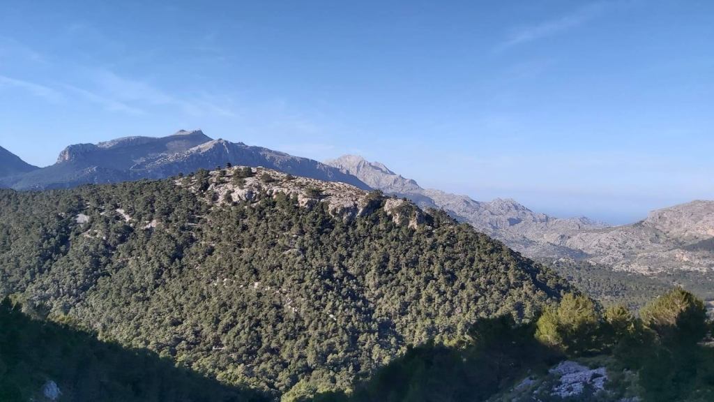 Moleta de Binifaldó vista desde el Tomir