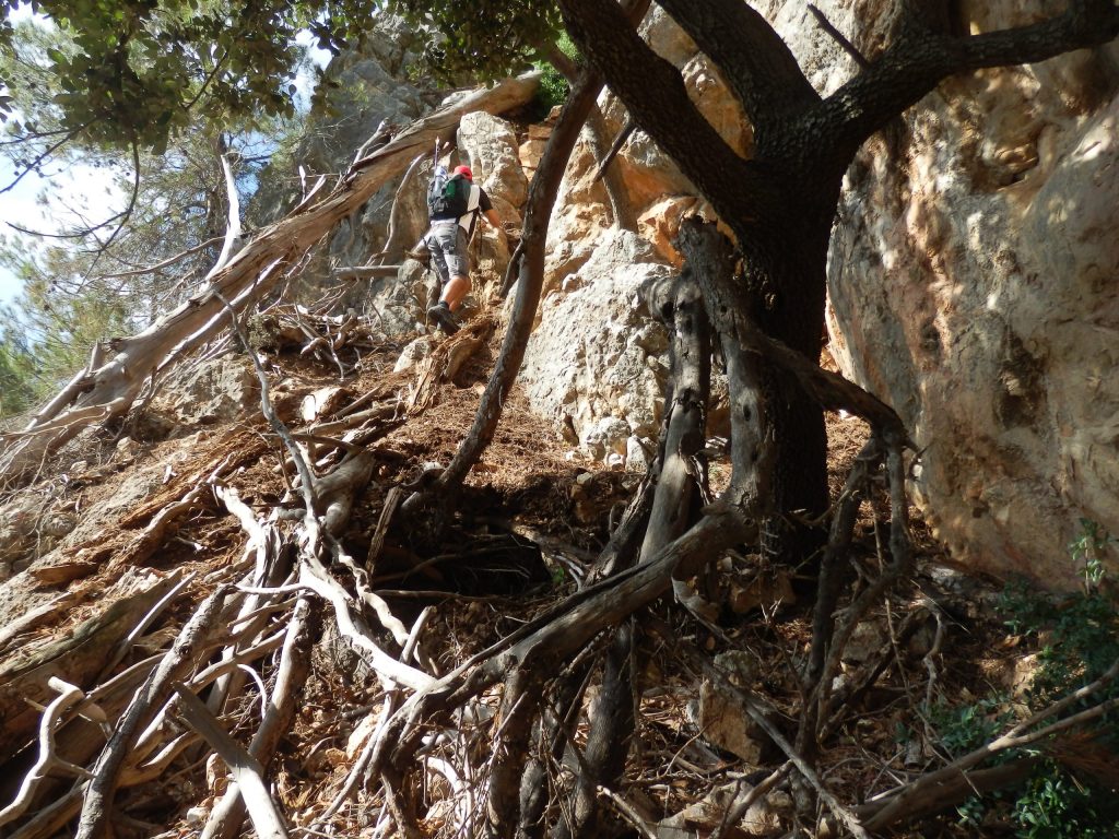 MOLETA DE SON CABASPRE por el Pas de en&nbsp;Xinda
