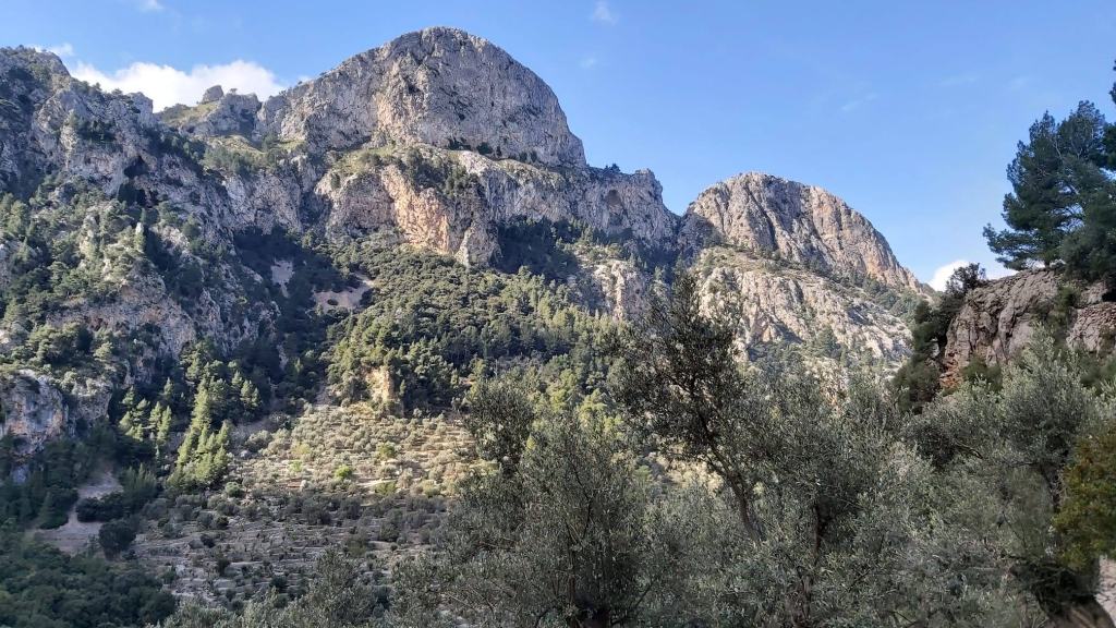 Font Es Verger-Portell de sa Costa-Caminando por Mallorca Vista de montañas y vegetación en la ruta Font Es Verger-Portell de sa Costa, con un paisaje natural montañoso bajo un cielo azul.
