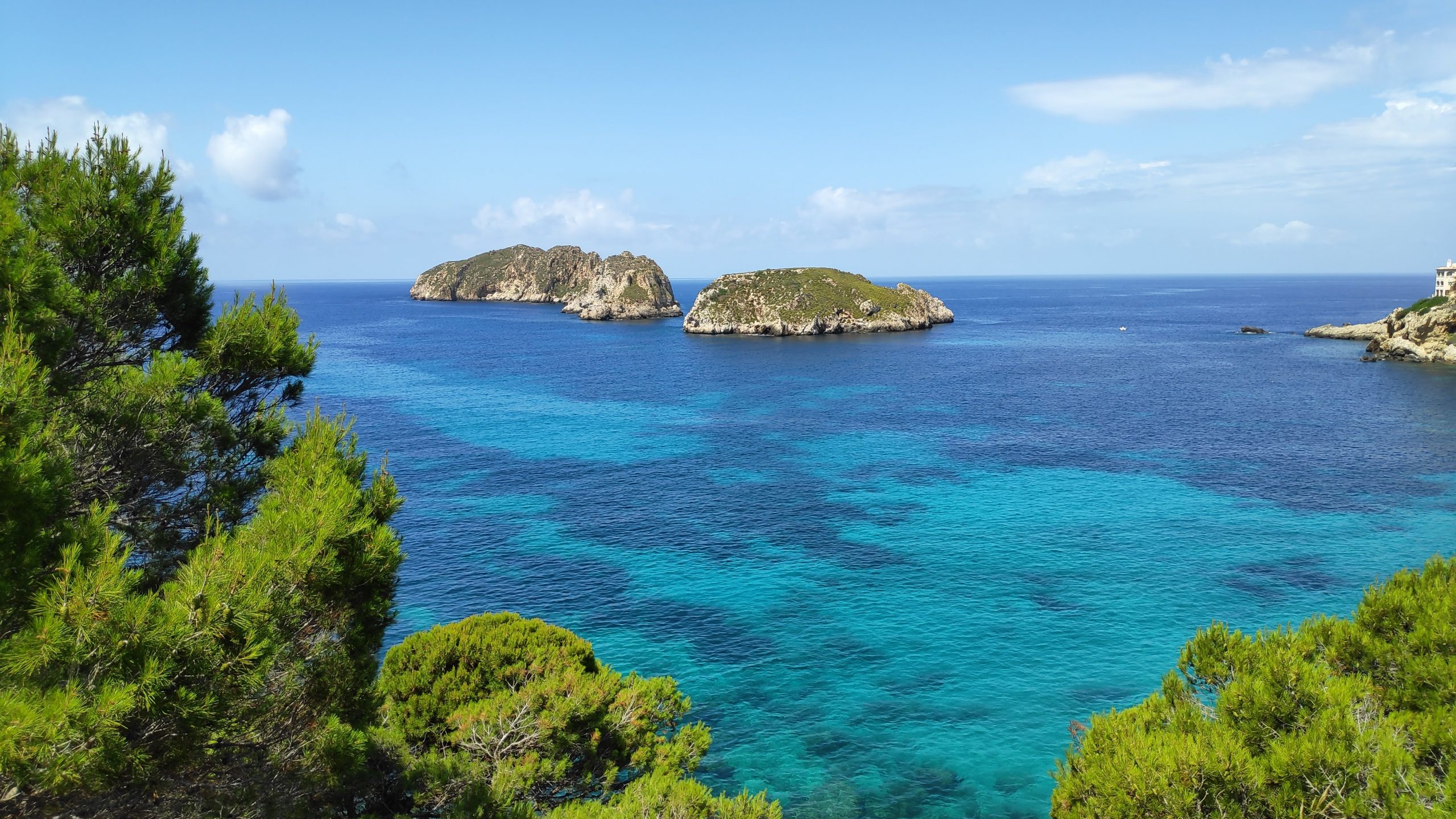 MAGALLUF-ISLAS MALGRATS