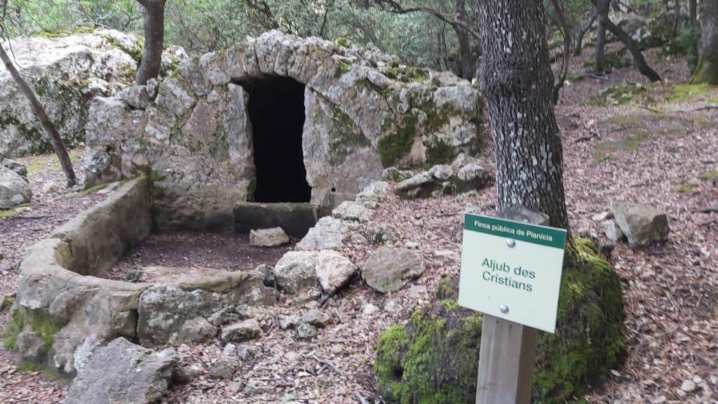 Vista del Aljub des Cristians, un antiguo depósito de agua de piedra, rodeado de un entorno natural en la Finca Pública de Planicia.
