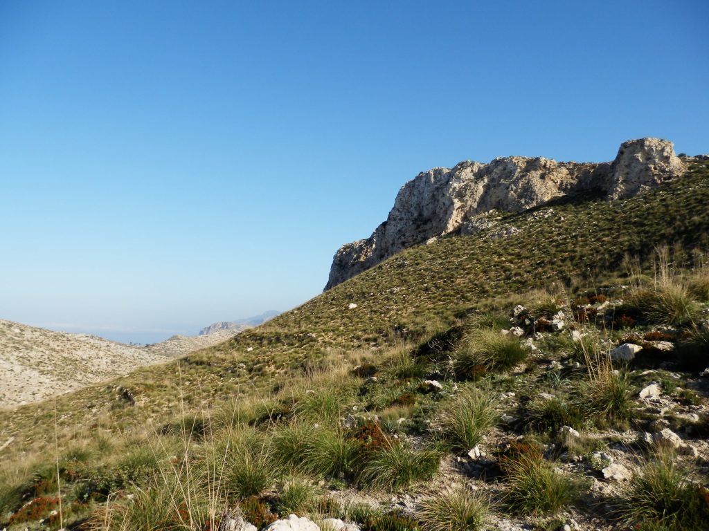 PUIG DE SA PARET DES MORO desde s’&nbsp;Arracó