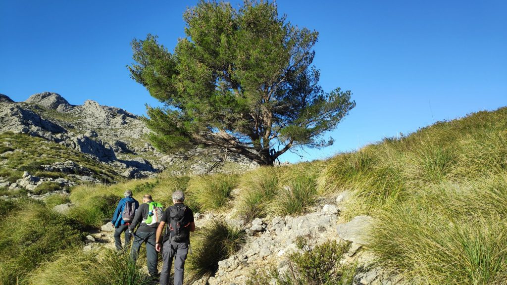 12 RECOMENDACIONES PARA PRACTICAR&nbsp;SENDERISMO