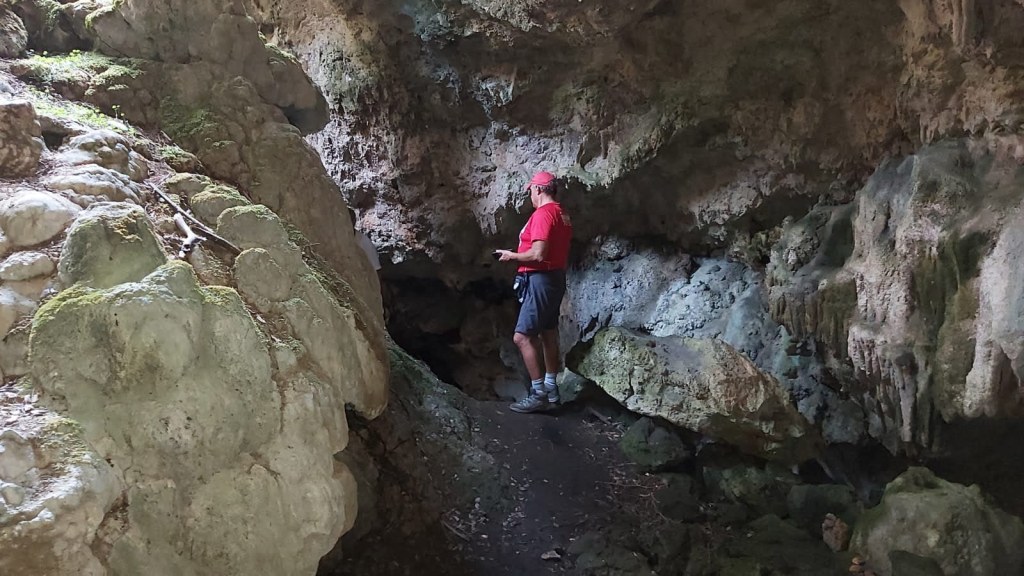 Persona de pie en la entrada de la Cova de s'Aigua, rodeada de formaciones rocosas y vegetación en el interior de la cueva.