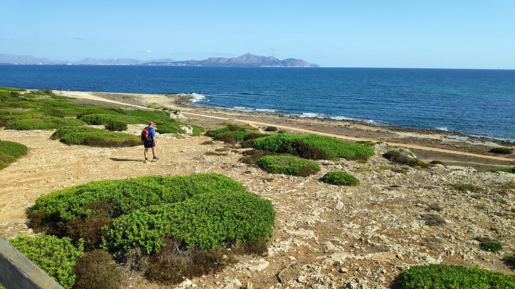 SON SERRA DE MARINA desde Son&nbsp;Bauló