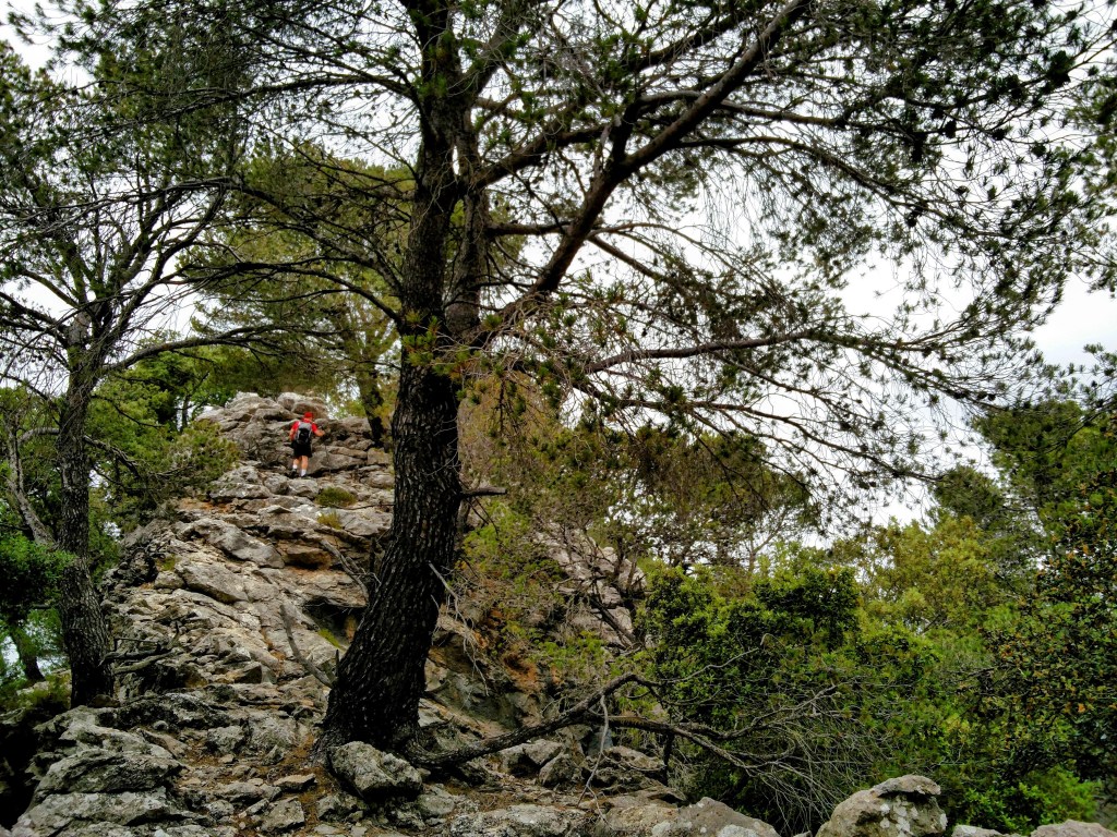 Persona ascendiendo una roca en el Puig des Moro, en un entorno natural con árboles y vegetación alrededor.