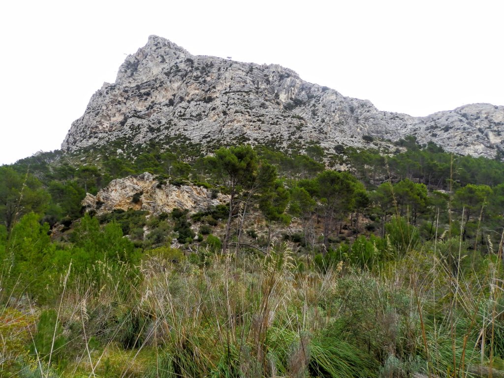 Vista del Puig d’en Farineta, una montaña rocosa cubierta de vegetación, en la sierra de Tramuntana.