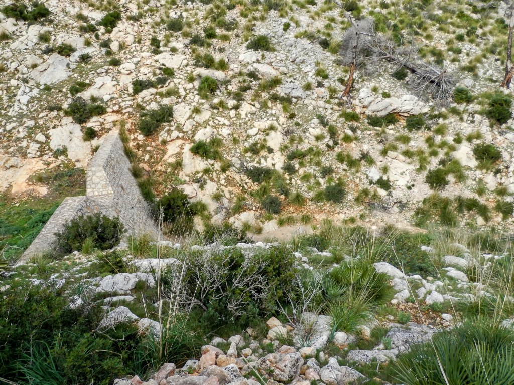 Vista de una pequeña presa en el Torrent de Sa Font des Bosc en un terreno rocoso cubierto de vegetación. La parte de la estructura parece estar en una pendiente, rodeada de hierbas y rocas.