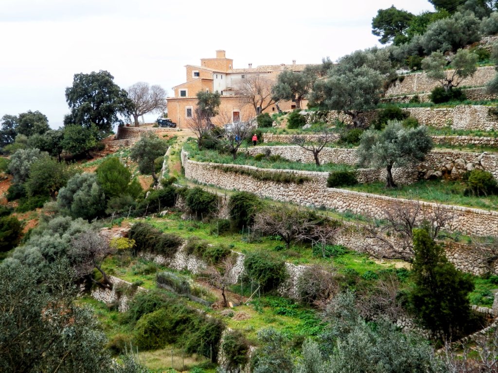 Vista de una finca en Es Rafal de Planicia con terrazas de cultivo y árboles en un paisaje montañoso.
