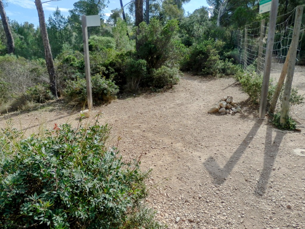 Intersección de senderos en el Coll de s’Escolana, rodeada de vegetación en una zona boscosa, con señales direccionales y un pequeño montículo de piedras.