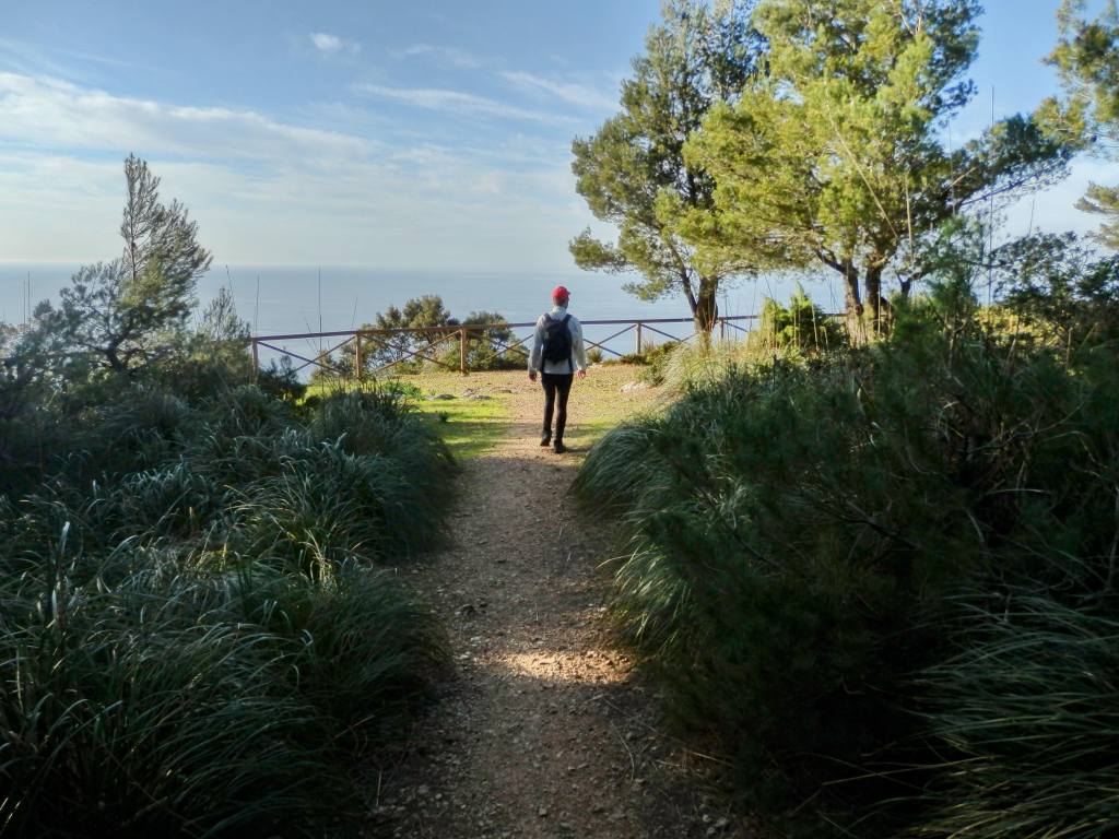 Una persona camina por un sendero rodeado de vegetación hacia el Mirador de ses Serveres con vistas al mar.