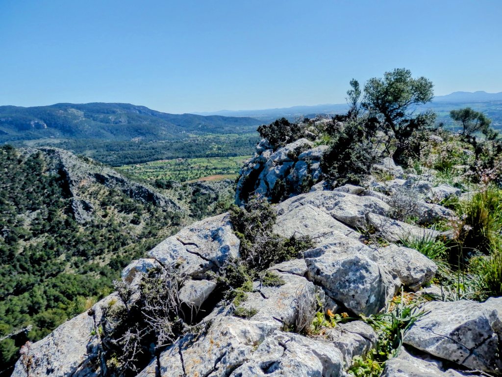 Vista panorámica desde el Puig des Colomer, con vegetación, rocas y montañas en el fondo.