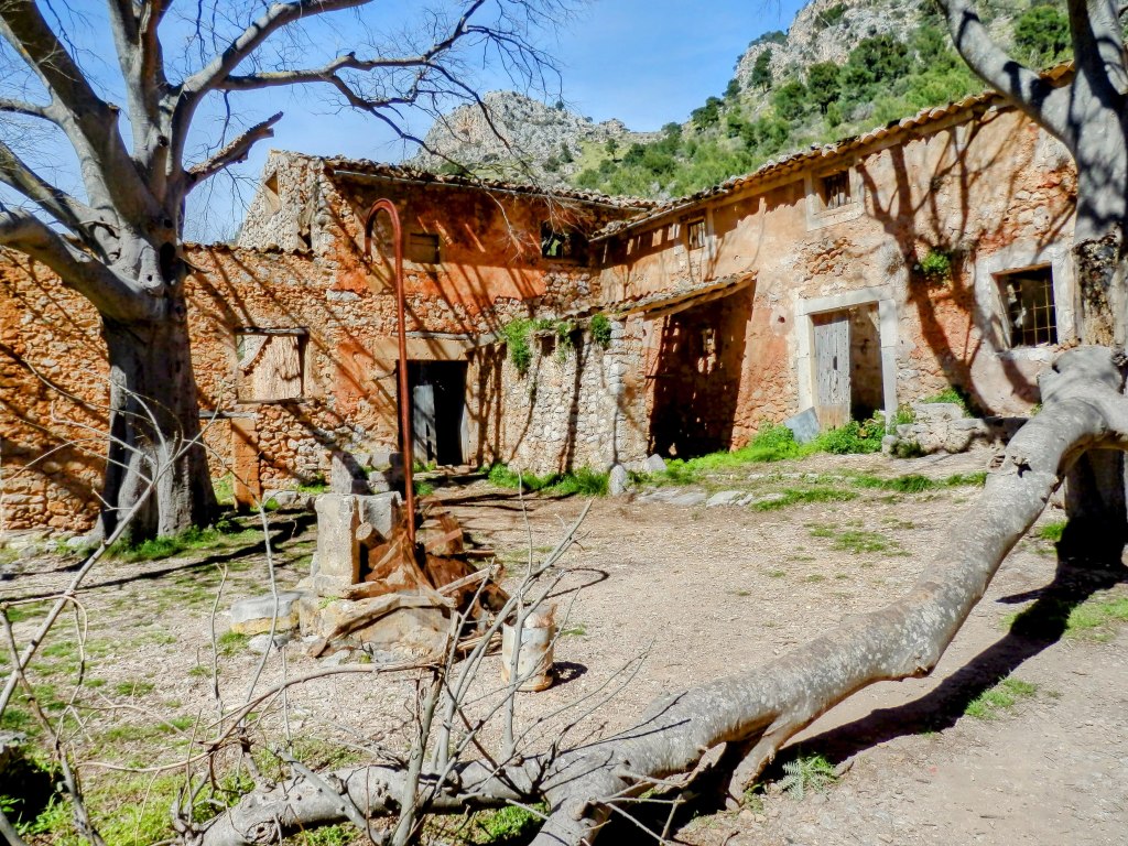 Vista de las ruinas de Raixeta en Mallorca, con paredes de piedra y un pozo en el centro, rodeadas de vegetación y árboles.