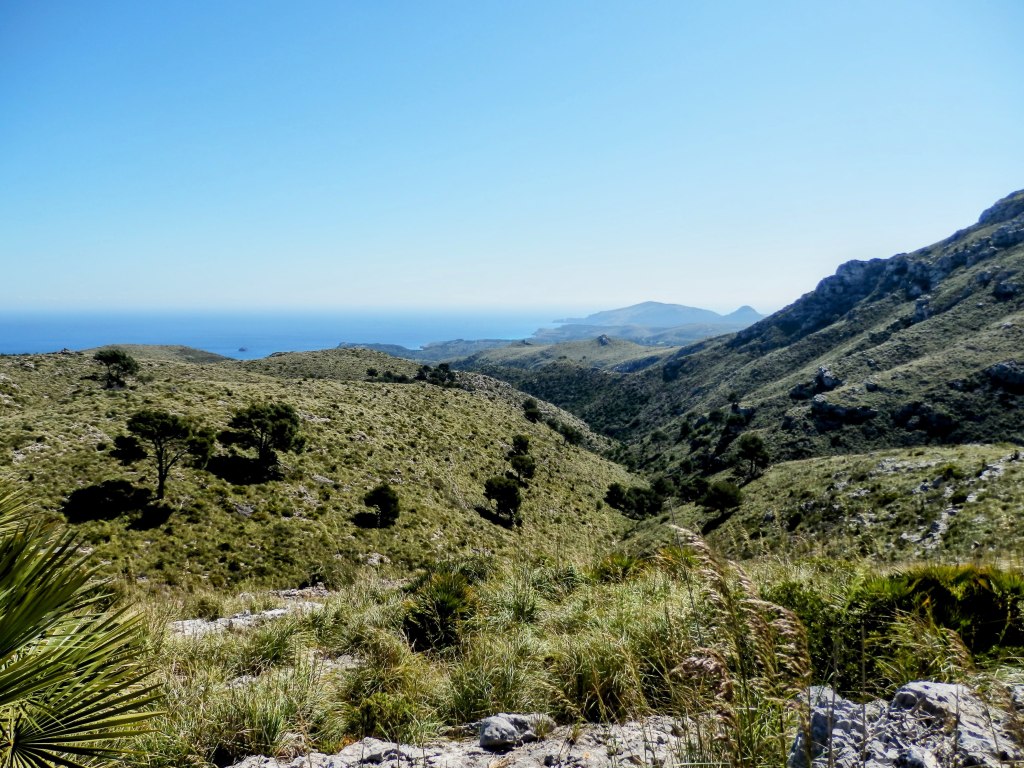 Vista panorámica del Parque Natural de la Península de Llevant, mostrando colinas verdes, árboles dispersos y el mar al fondo.