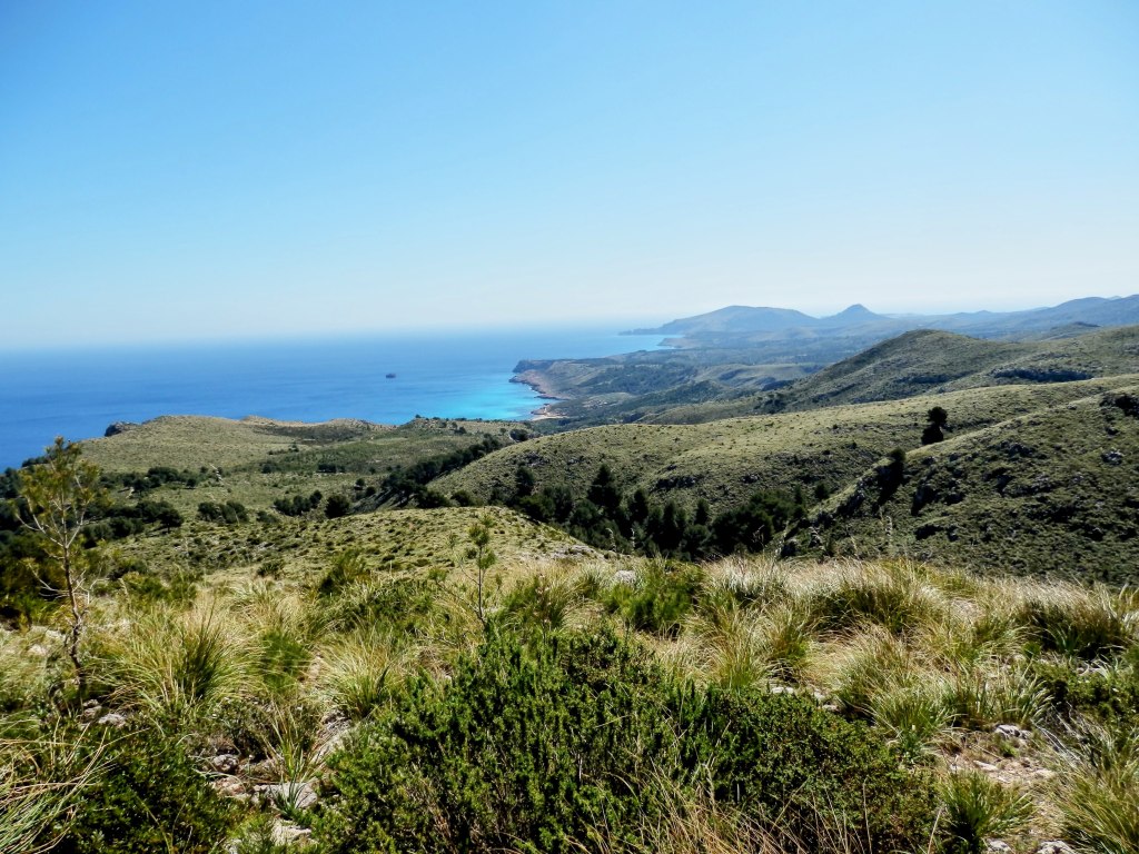 Vista panorámica del Parque Natural de la Península de Llevant, mostrando colinas verdes, vegetación baja y el mar en el horizonte.