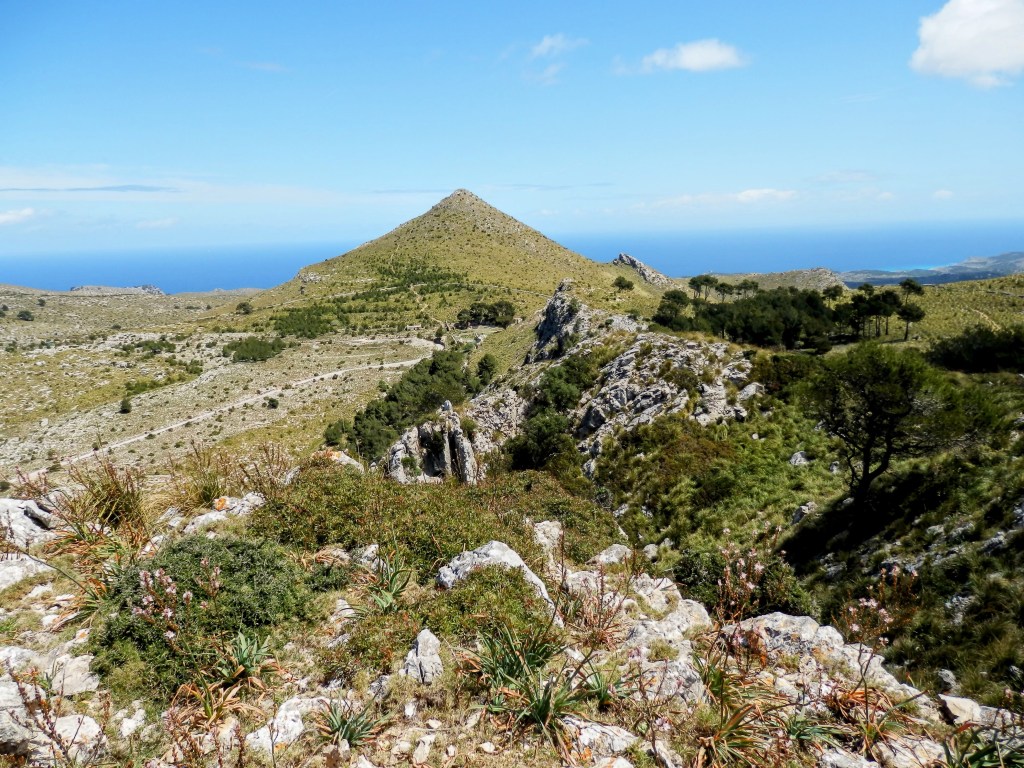Vista panorámica del Puig des Porrassar, una montaña cónica en Mallorca, rodeada de vegetación y con el mar al fondo.