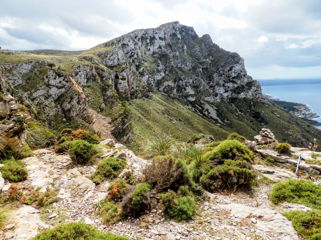 Coll de Sa Vauma con Sa Talaia Freda al fondo con vegetación diversa y costa visible al fondo.