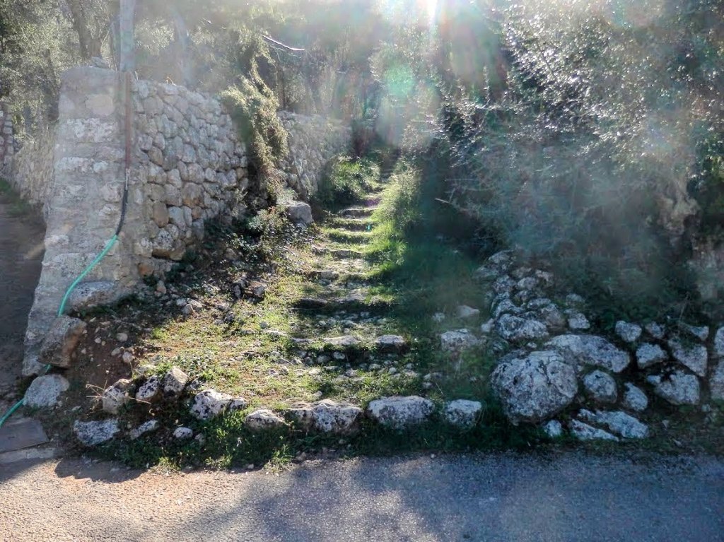Camí de Na Martorella junto a un muro de piedra, con vegetación en los laterales.