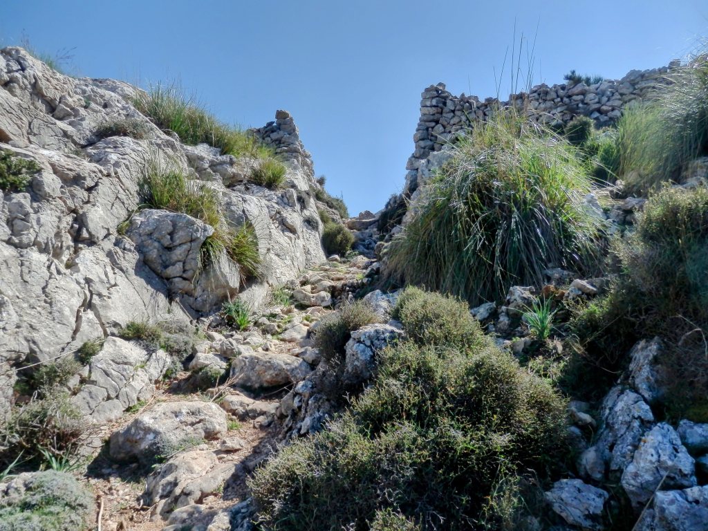 Sendero rocoso que asciende hacia el Portell de Sa Costa, rodeado de vegetación y piedras con un fondo azul claro.