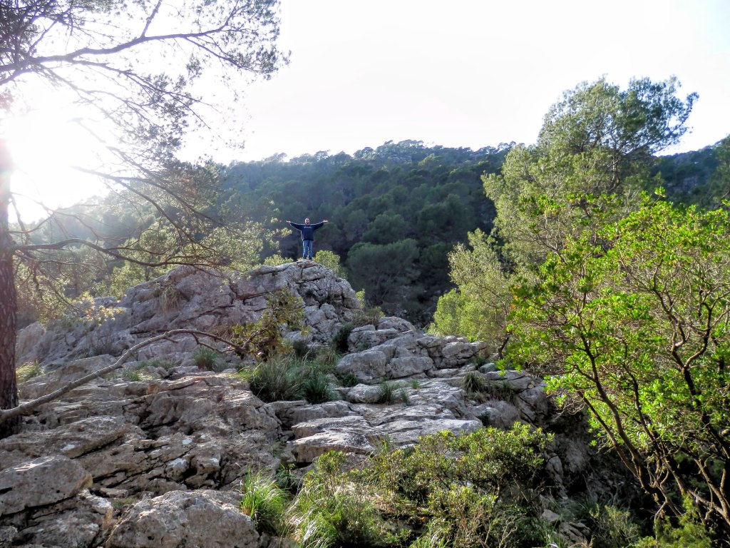 Una persona de pie sobre una roca en un paisaje montañoso, con árboles verdes alrededor y una luz brillante en el fondo.