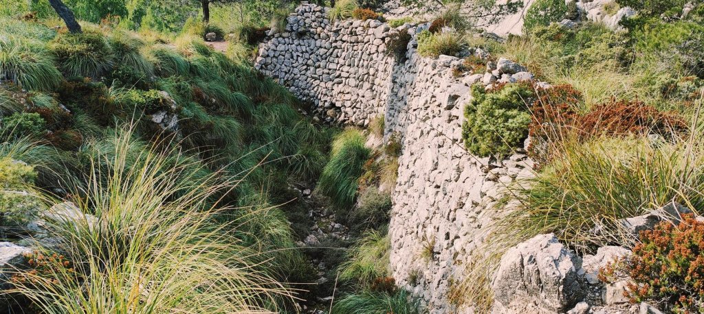 Vista de un antiguo pozo de nieve rodeado de vegetación en la ruta hacia el Morro de Almallutx.