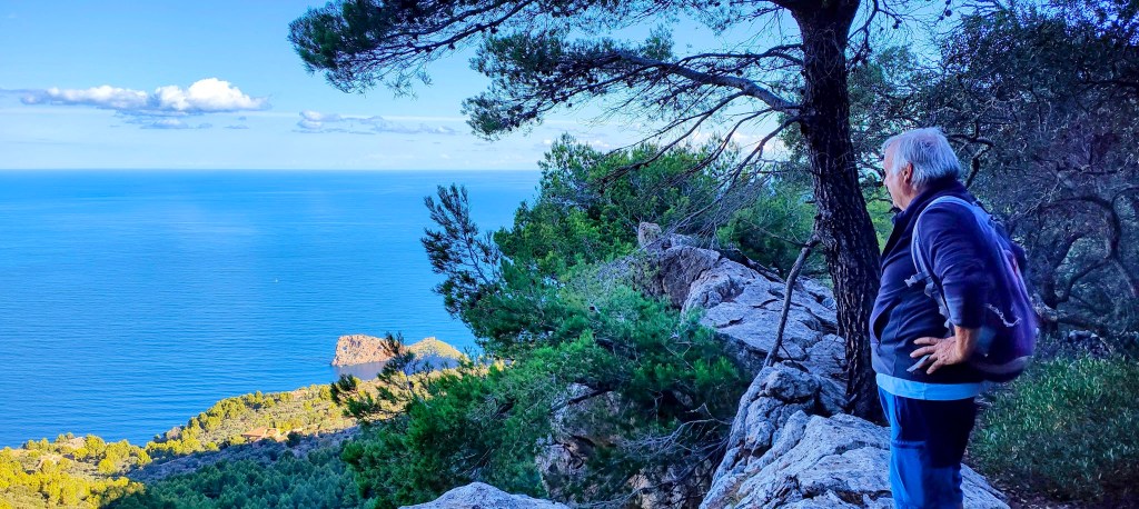 Una persona de pie al borde de un acantilado, mirando hacia el mar. Rodeado de árboles y vegetación, el paisaje muestra un cielo parcialmente nublado y un paisaje costero.