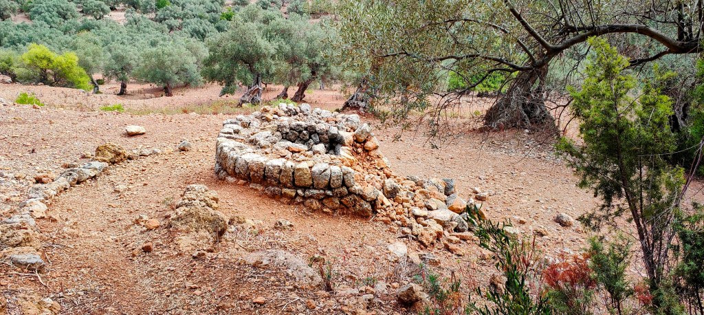 Ruinas de una antigua construcción de piedra en un terreno árido, rodeadas de vegetación de olivos y arbustos.